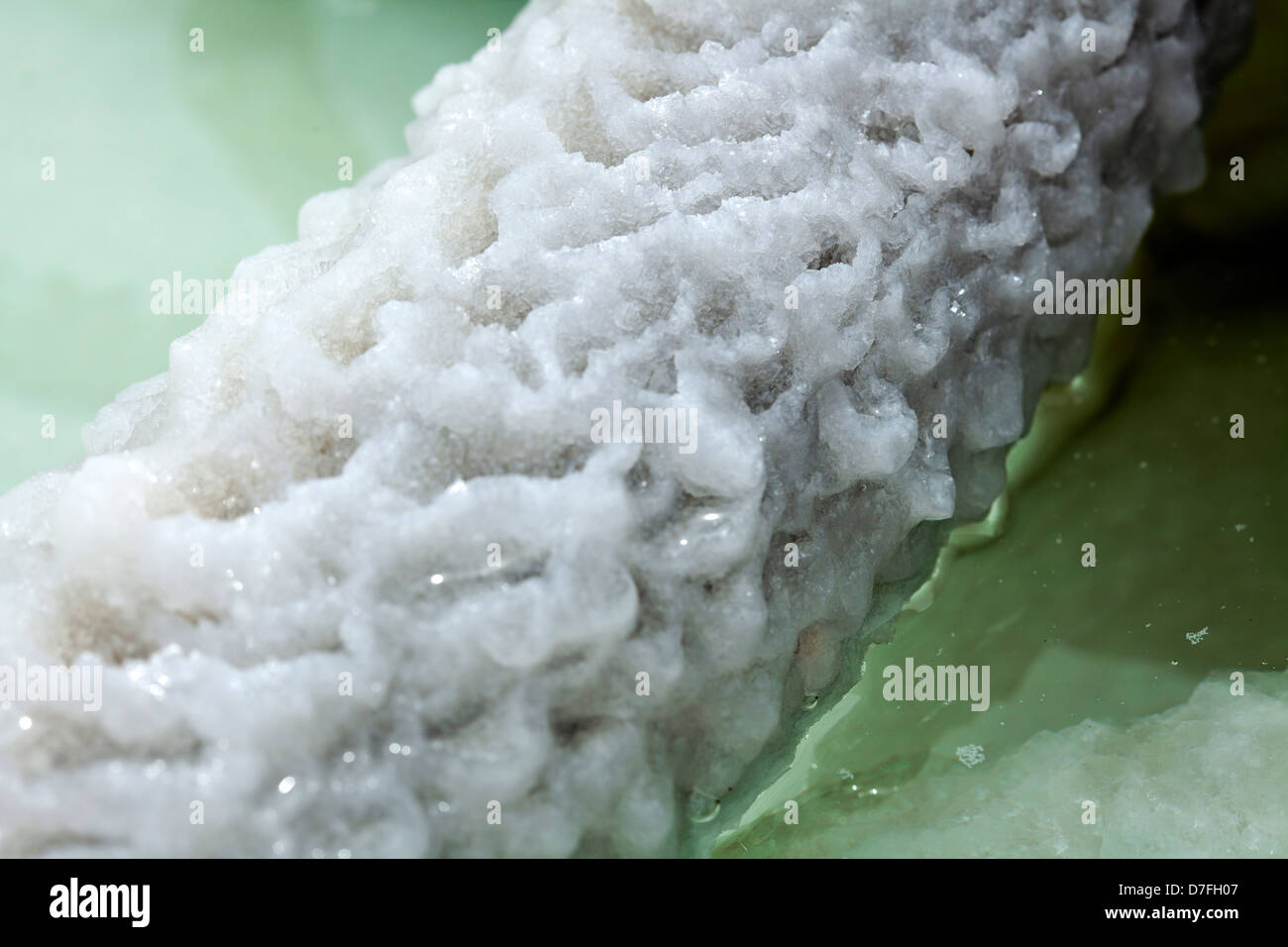 Gedreht in Gewässern infamously Salz salzig Totes Meer-Cluster Kristalle zusammen gruppiert, auf was einmal Branch Bush war. Stockfoto