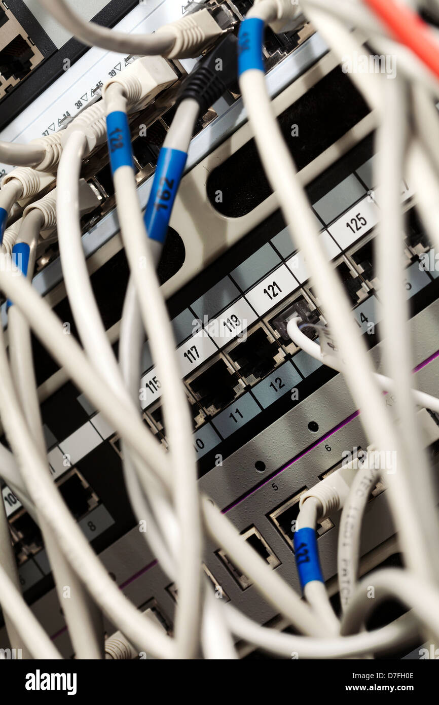 Makro Nahaufnahme auf einem Netzwerkserver, welche mehrere, den netork Kabel angeschlossen sind. Stockfoto
