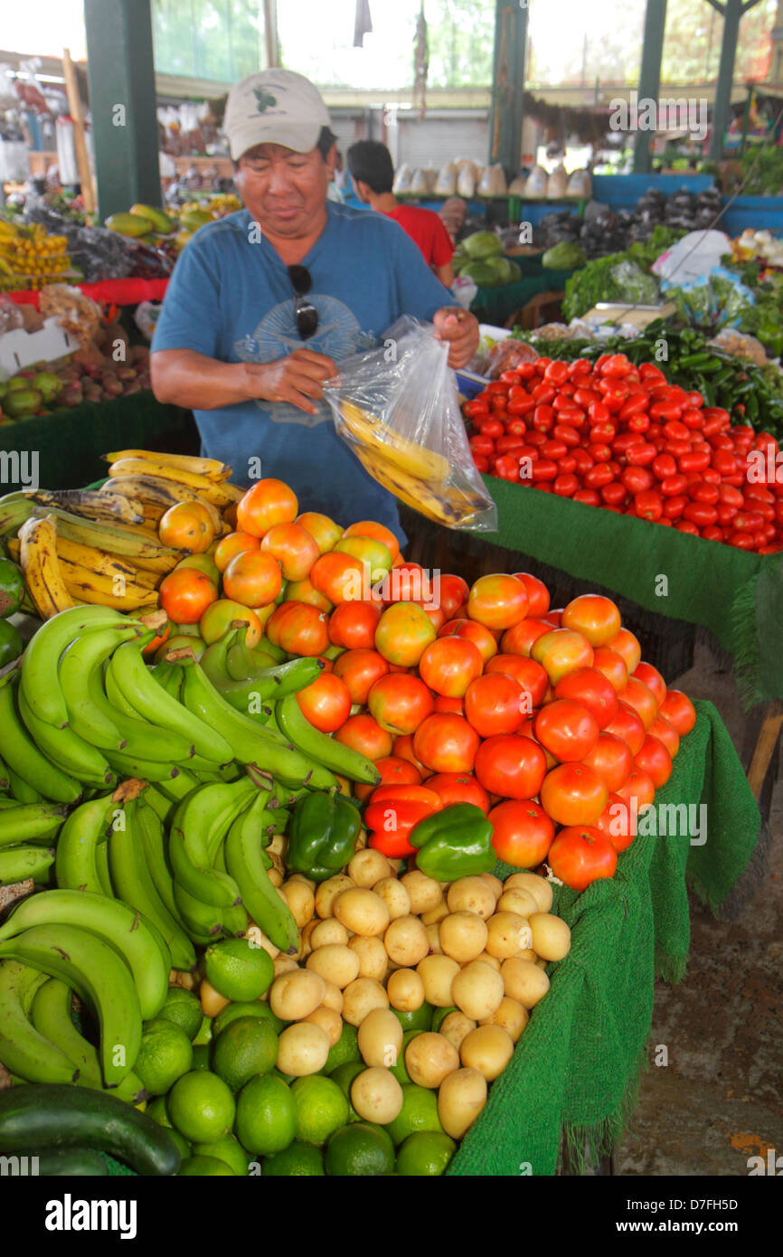 Miami Florida, Homestead, US Highway Route, Redlands Farmers Market, Shopping Shopper Shop Shops kaufen verkaufen, Store Stores Business Businesses, produzieren Stockfoto