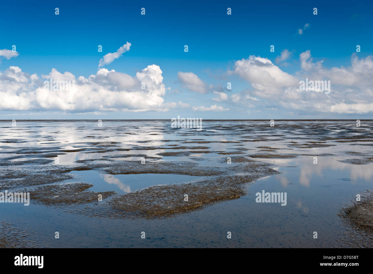 Wattenmeer mit Ebbe und blue skye Stockfoto