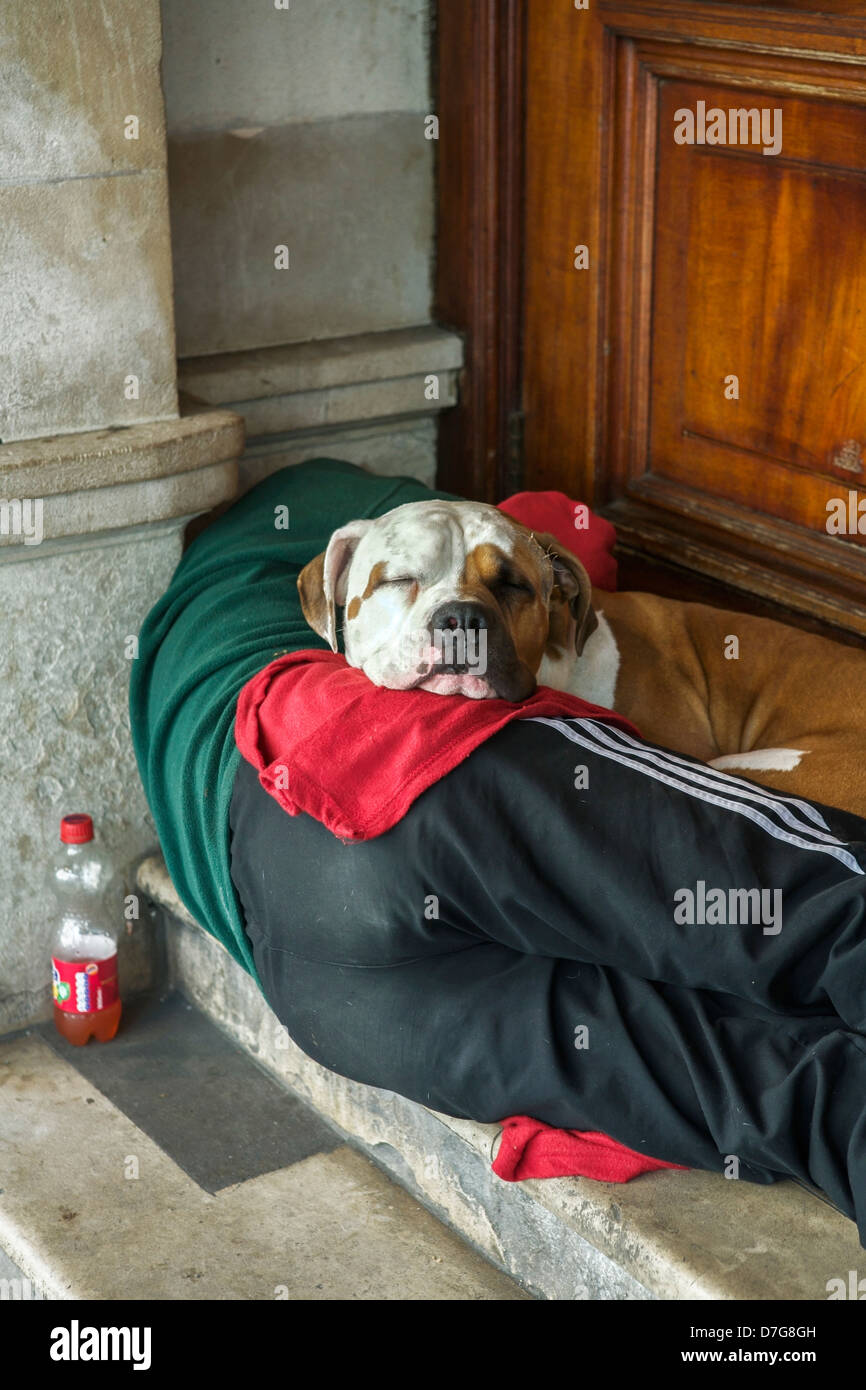 Obdachlosen schlafen mit seinem Hund in einem Türrahmen. Obdachlose britische Obdachlose. Obdachlosen UK. Obdachlosen uk männlichen schlafen Stockfoto