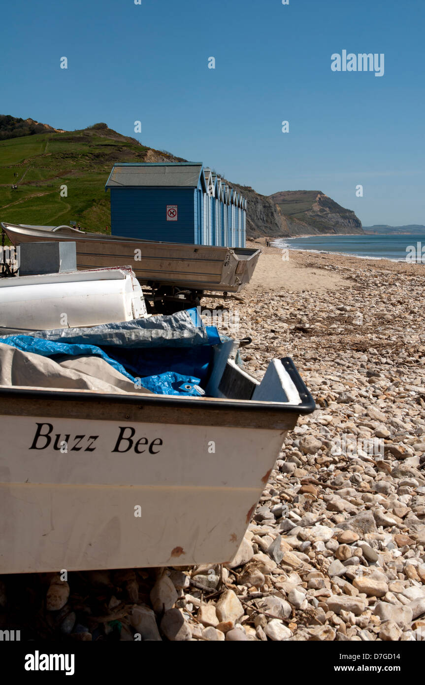 Der Strand, Charmouth, Dorset, England, UK Stockfoto