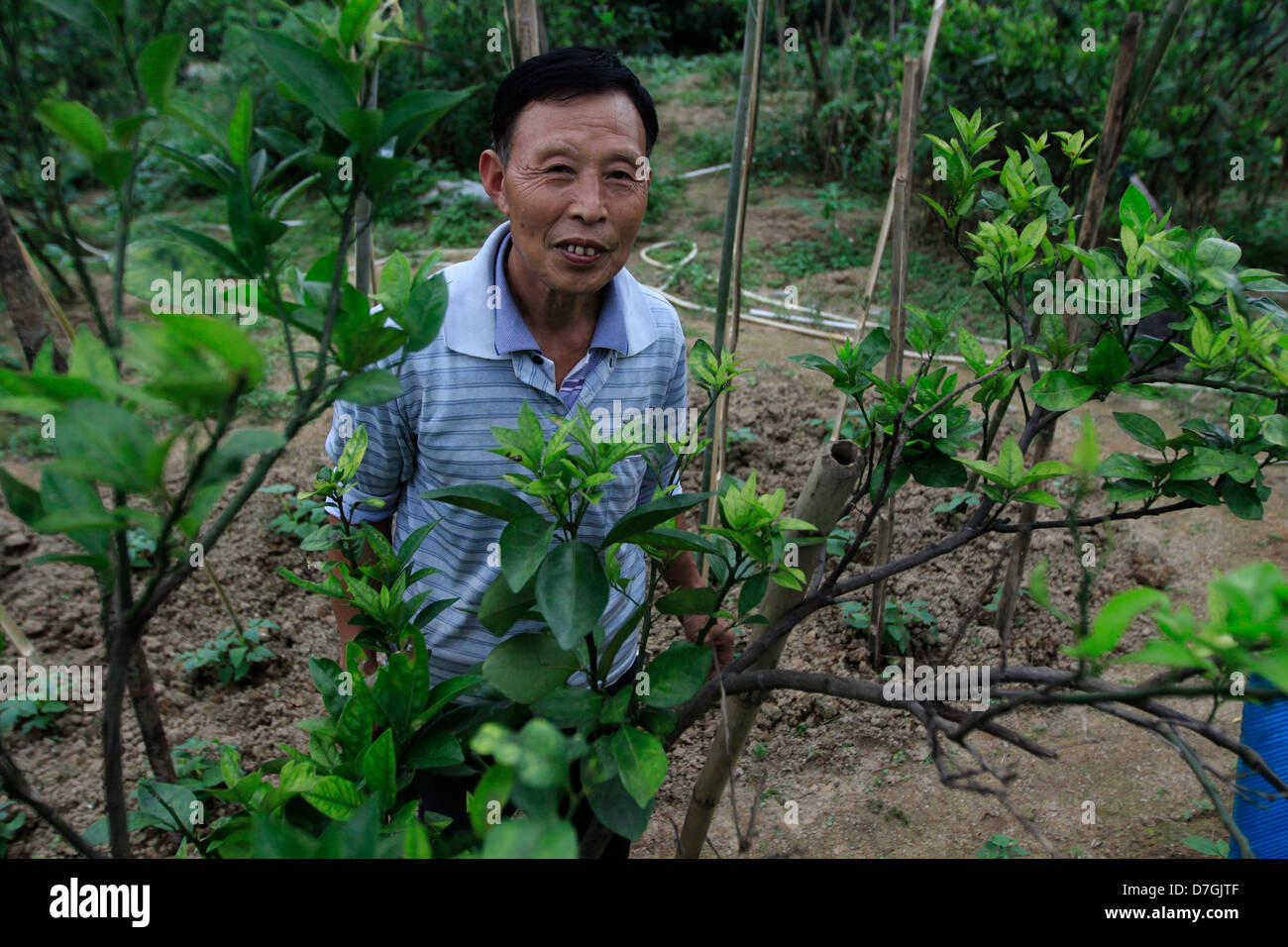 Chinesische Bauern in der Nähe von Zhuhai Guangdong Province.China 2013 Stockfoto