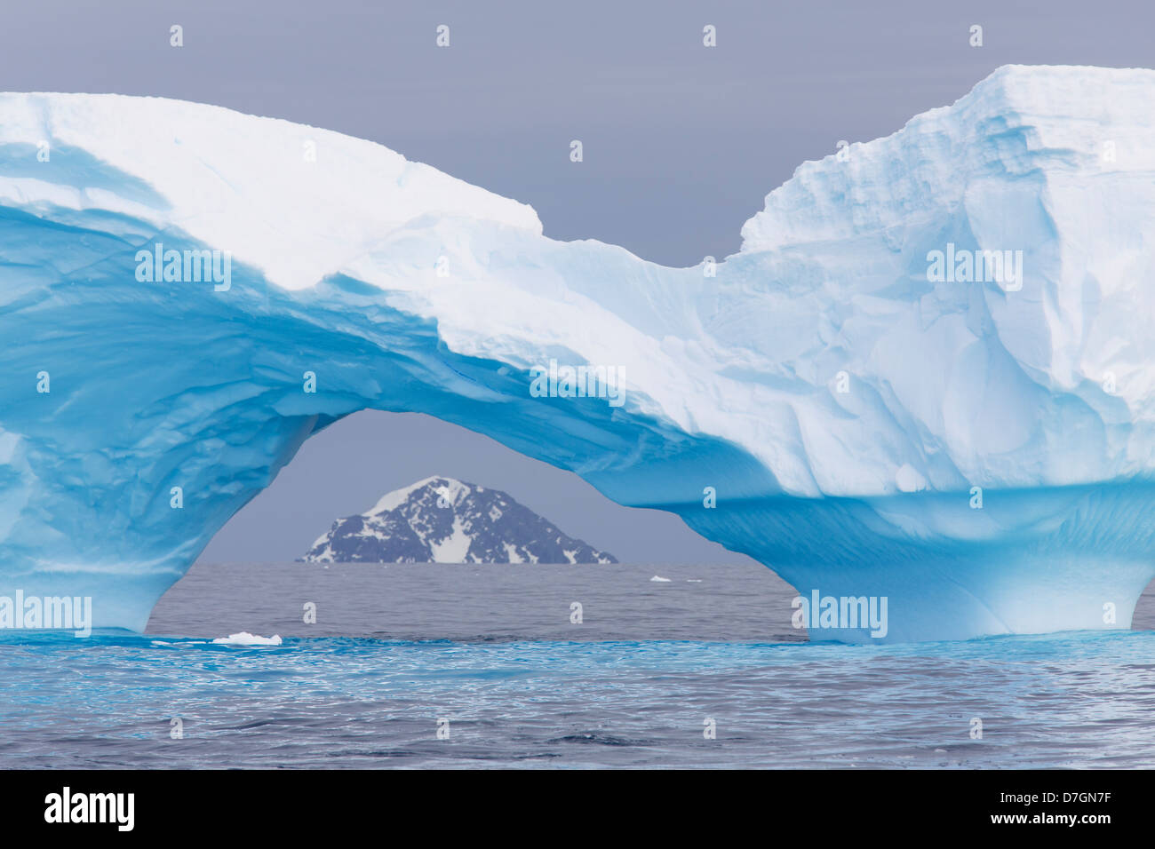 Eisberg in der Antarktis Cierva Bucht. Stockfoto