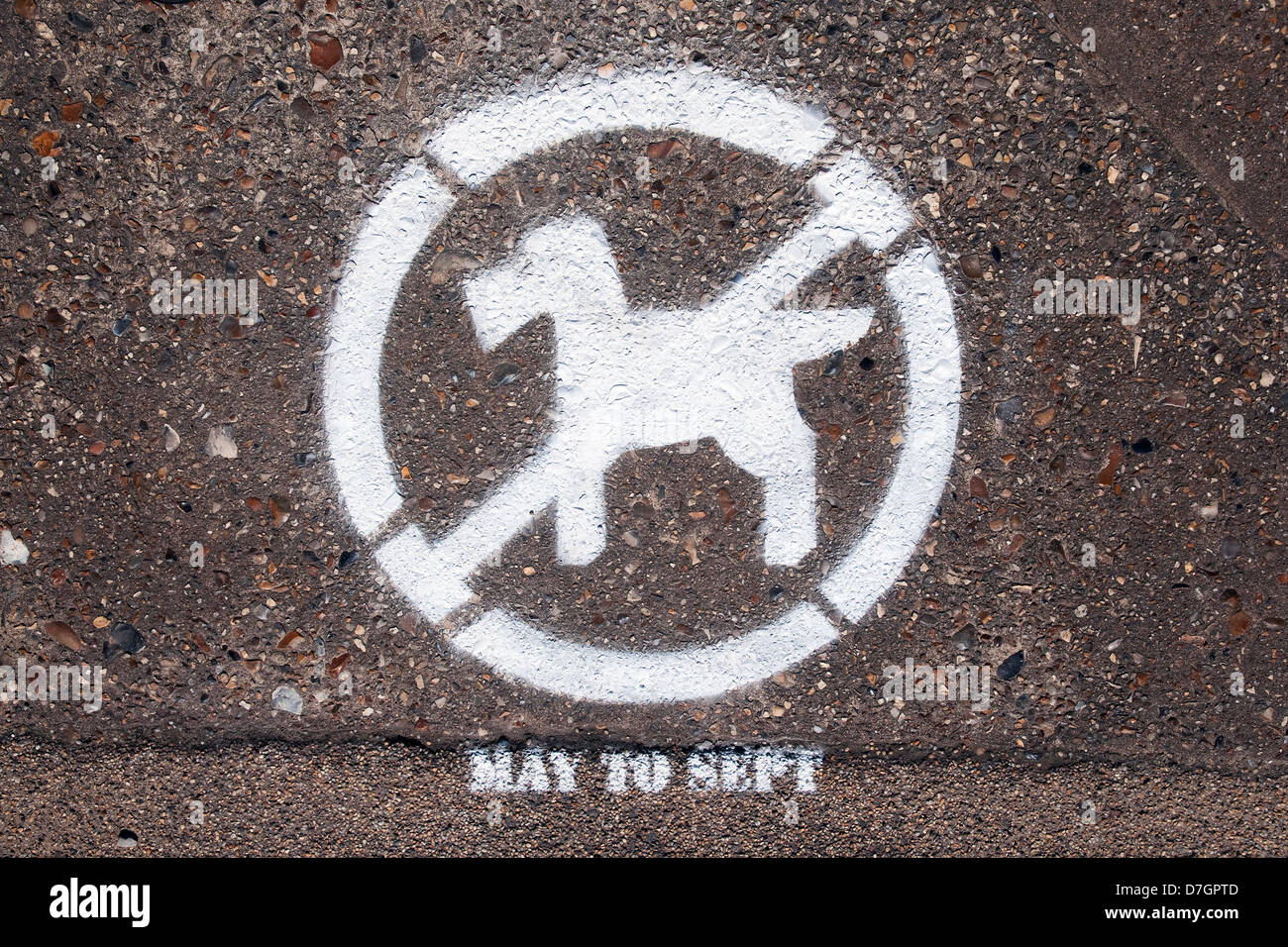 Hundeverbot am Strand-symbol Stockfoto
