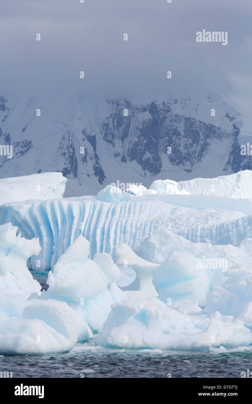 Eisberge in Cuverville Island, Antarktis. Stockfoto