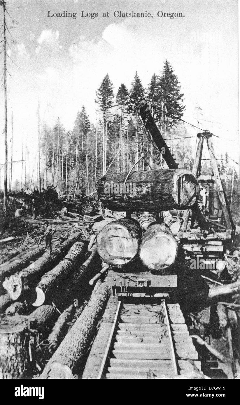 Dieses Bild zeigt Arbeiter, die Protokolle in Clatskanie, Oregon, laden. Das Foto aus der Gerald W. Williams Collection im OSU Archives spiegelt die Holzindustrie im frühen 20. Jahrhundert und die Rolle der Eisenbahn beim Holztransport wider. Stockfoto