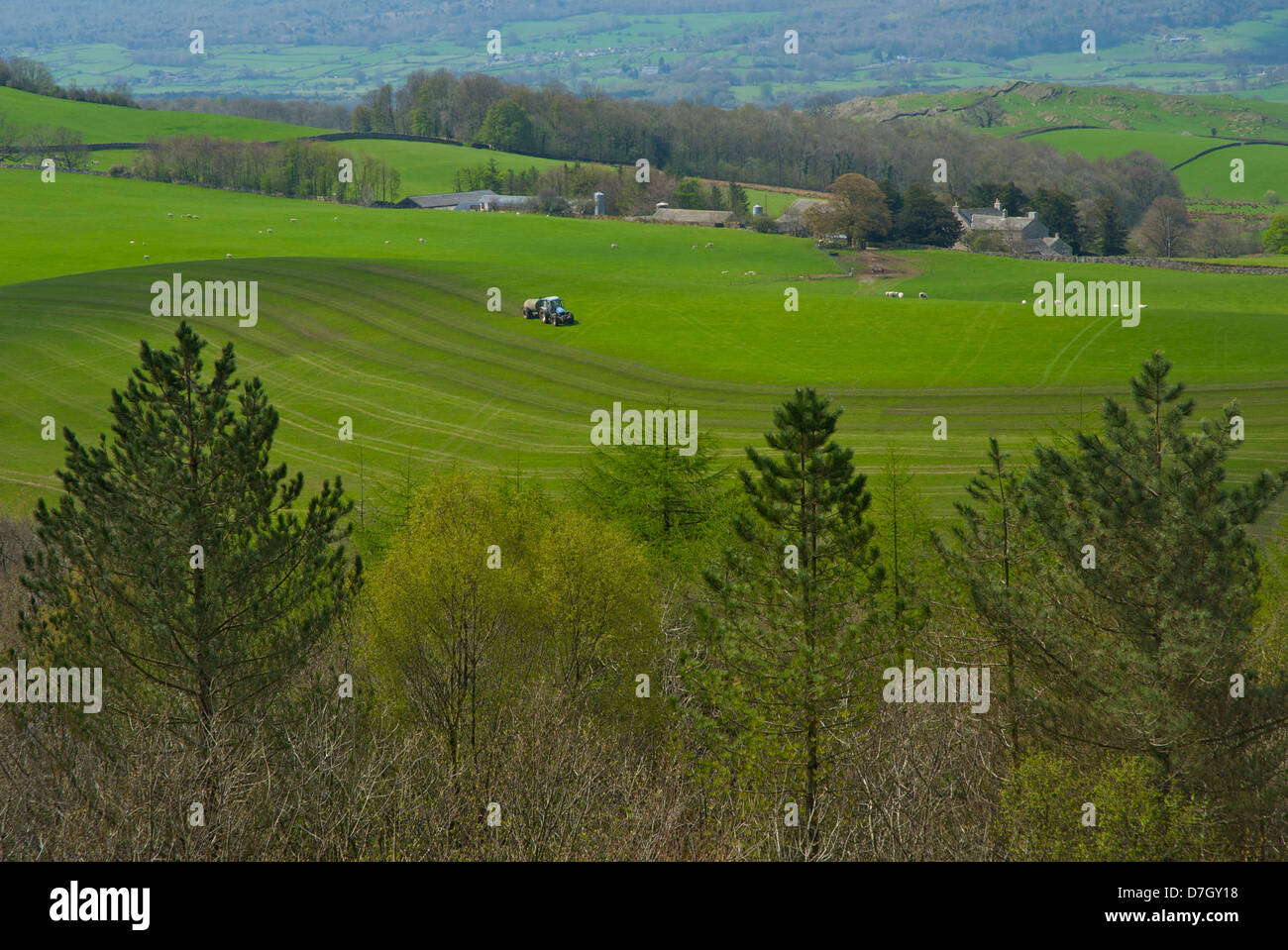 Traktor-Dreck verbreiten auf Ackerland unter Scout Narbe, in der Nähe von Kendal, Cumbria, England UK Stockfoto