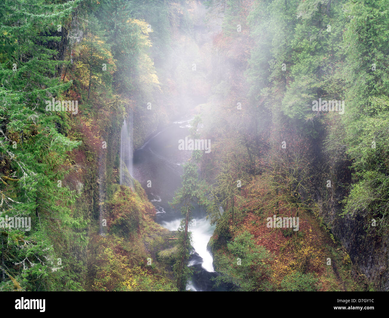 Saisonalen Wasserfälle (unbenannt) in Eagle Creek. Columbia River Gorge National Scenic Bereich, Oregon Stockfoto