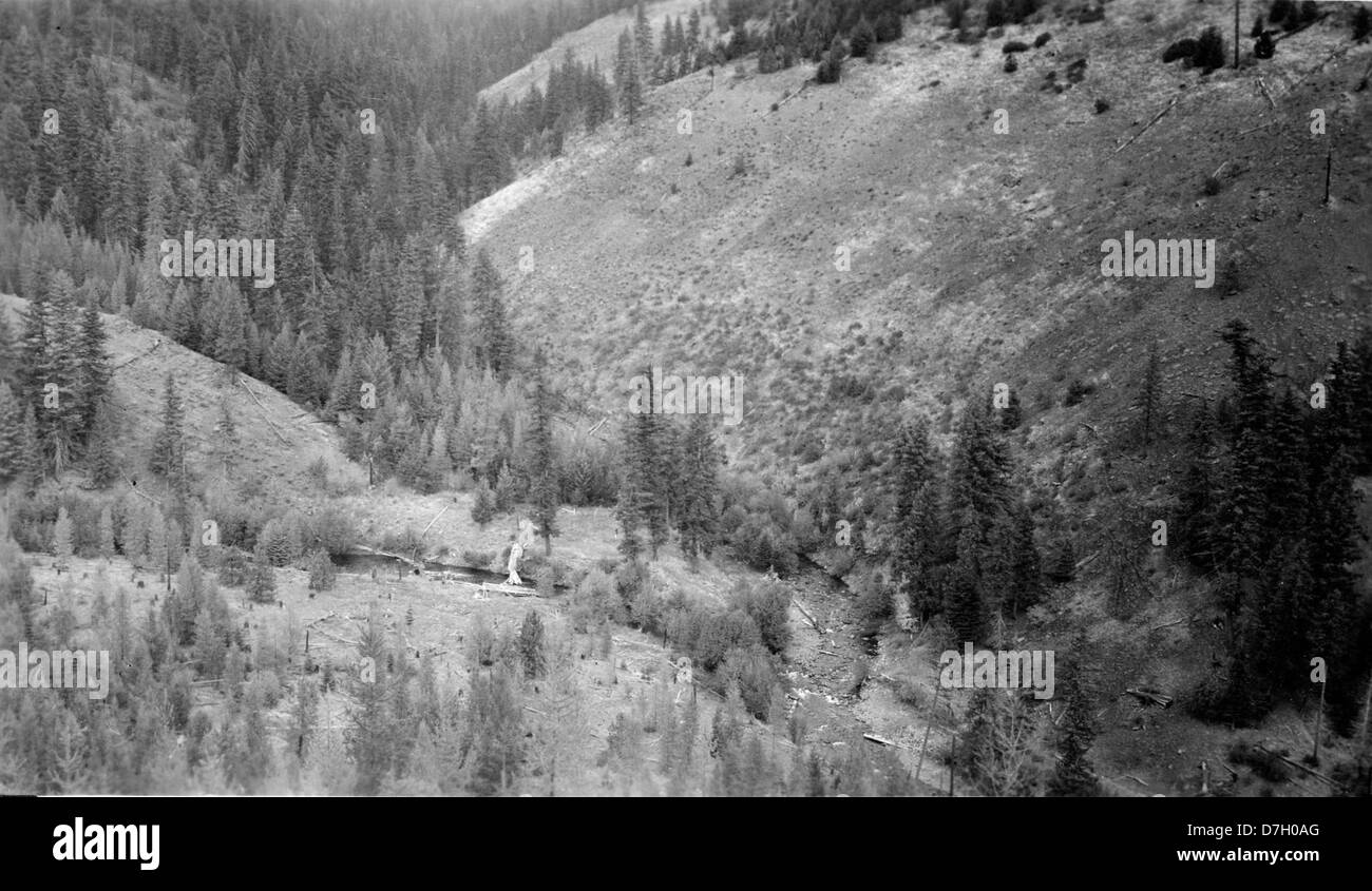 Dieses Bild zeigt den Zusammenfluss des Big and Little Looking Glass Creek im Deschutes Basin, das sich im Grande Ronde Basin von Oregon befindet. Die Region ist bekannt für ihre malerische Landschaft und die vielfältigen natürlichen Ressourcen, die zur Erkundung und zum Verständnis der Umwelt in Oregon beitragen. Stockfoto