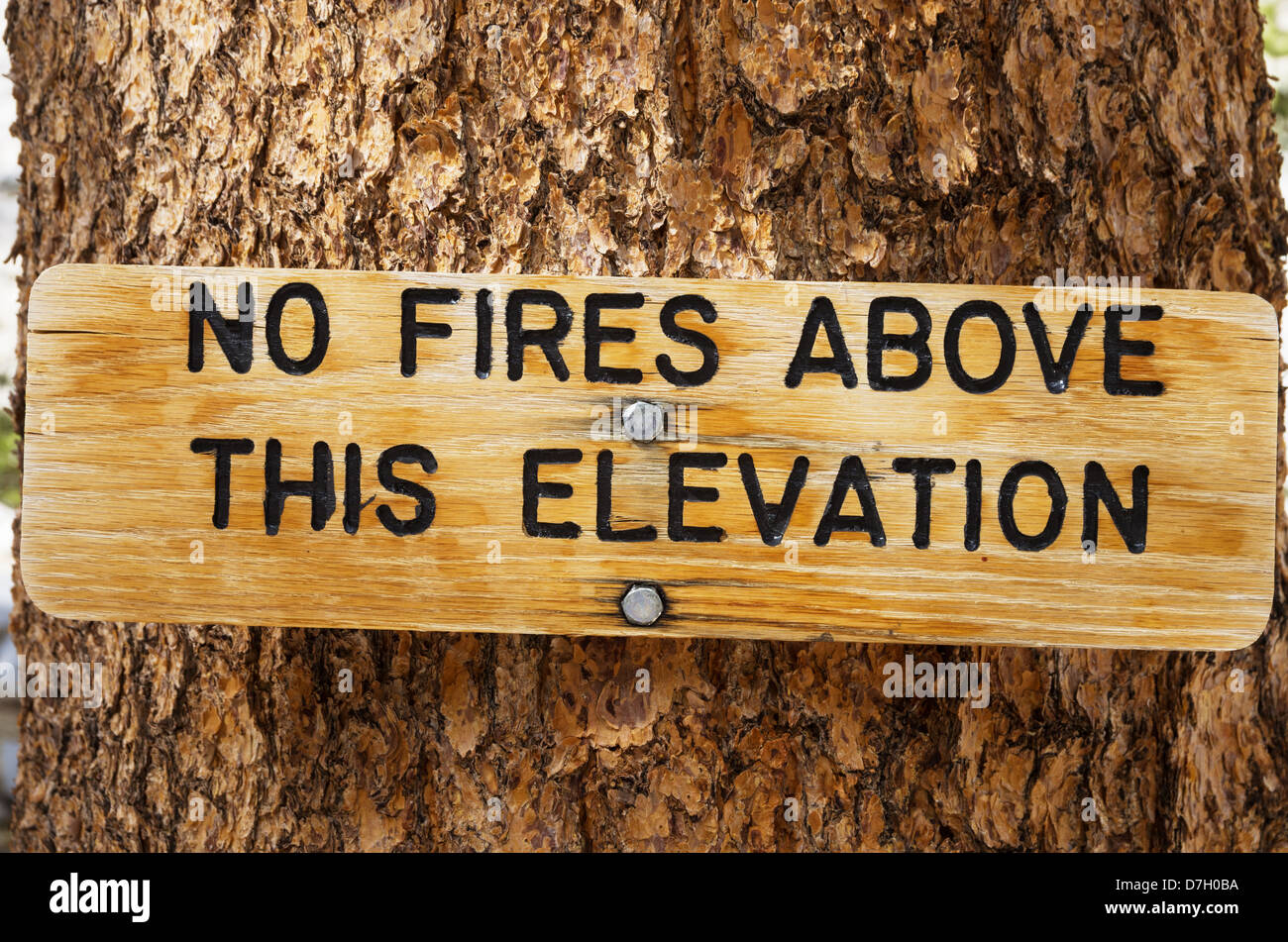 kein Feuer über dieser Höhe Holz Schild an einem Baumstamm Stockfoto