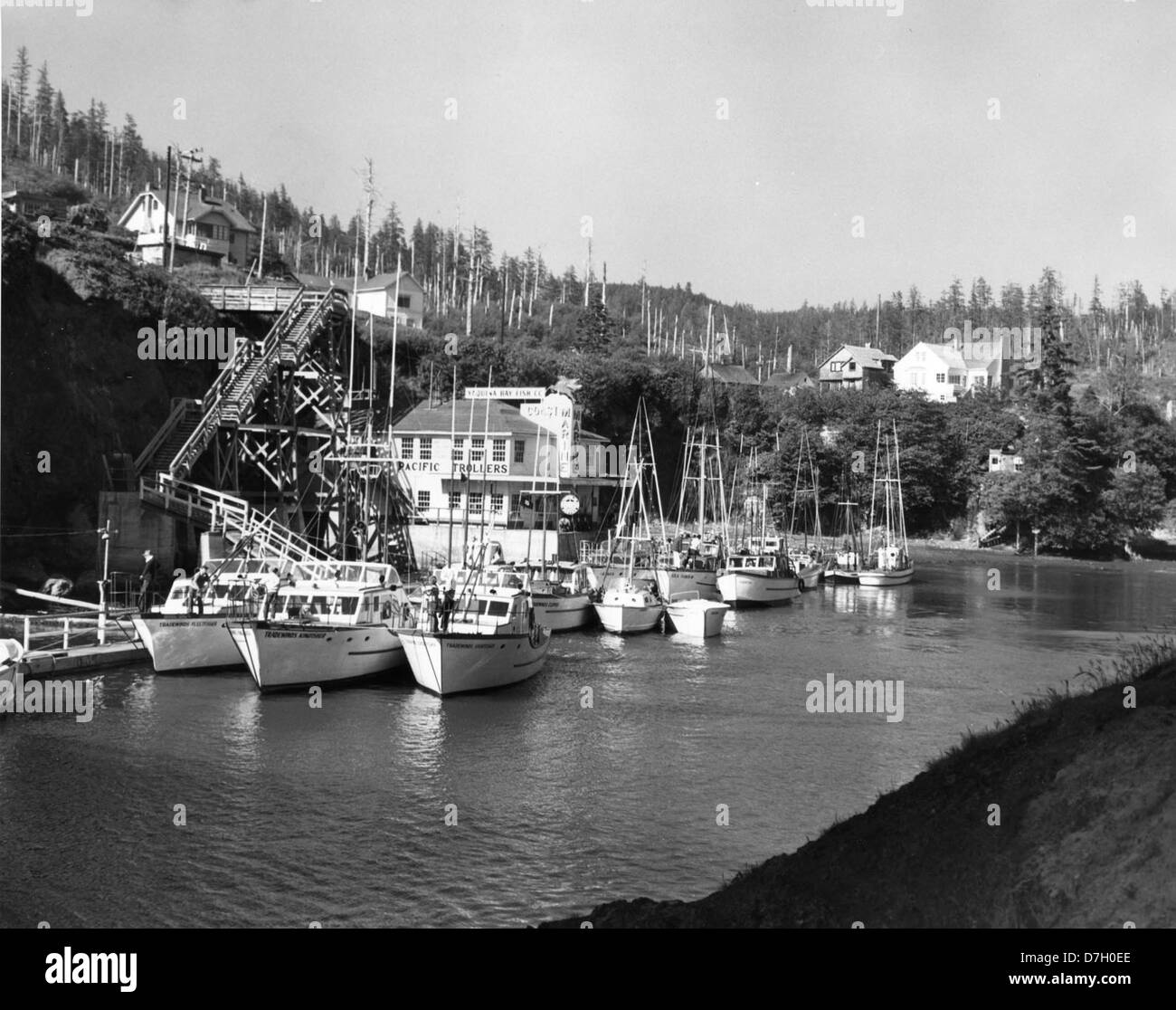 Die Tradewinds-Flotte, bestehend aus den Schiffen Monarch Empress, IJsland und Herman-GRE, ist im Hafen von Depoe Bay in Oregon angedockt und zeigt niederländische Binnenschiffe in einem US-Hafen. Stockfoto