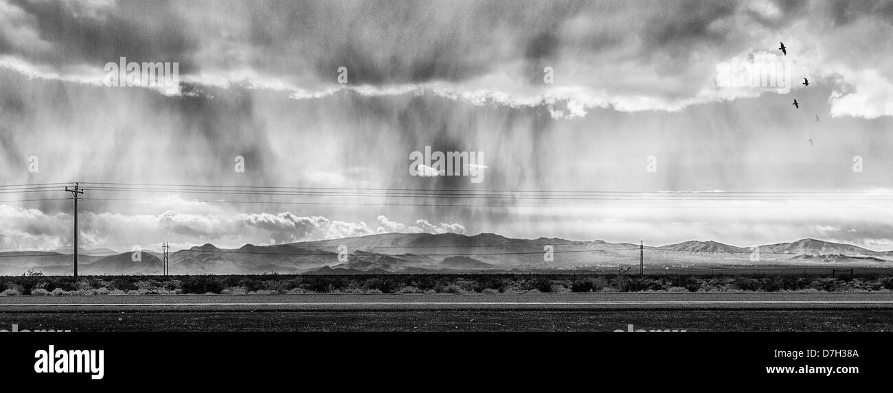 Eine monochromatische Panoramabild eines Sturms überquert die Bundesstraße 95 in der Nähe von Pahrump, Nevada Stockfoto