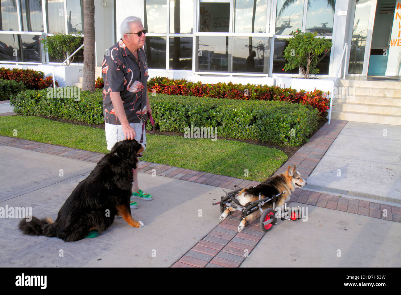 Myelopathie Stockfotos &amp; Myelopathie Bilder Alamy