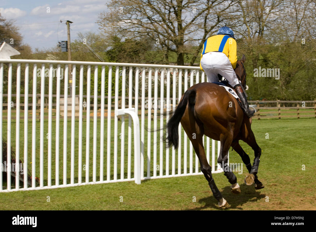 Rennen Pferde Equus Ferus Caballus an einem Hindernislauf Horse-event Stockfoto