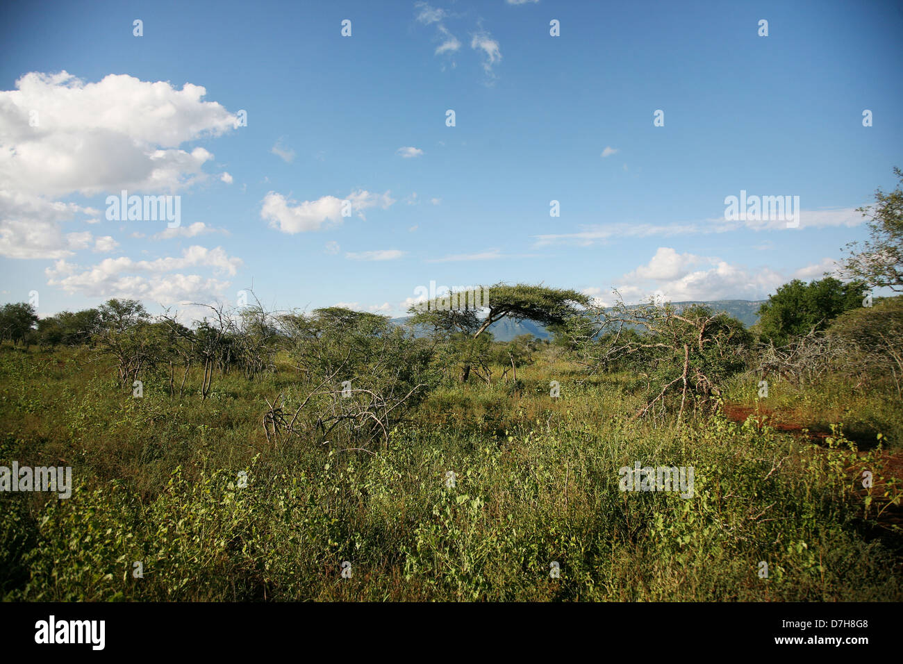 Landschaft Bilder von Kwazulu Natal, Südafrika Stockfoto