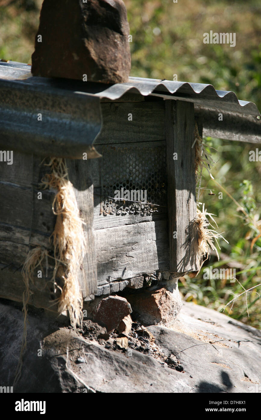 Ländliche Bienenhaus mit Wellblechdach Stockfoto