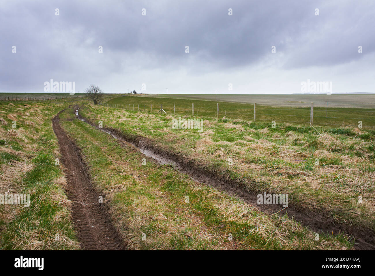 Ein Land mit weiten Feldern und bedecktem Himmel verfolgen Stockfoto