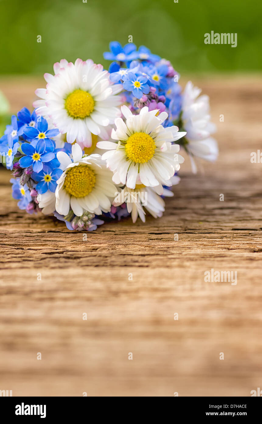 Bouquet mit Gänseblümchen und Vergissmeinnicht Stockfoto