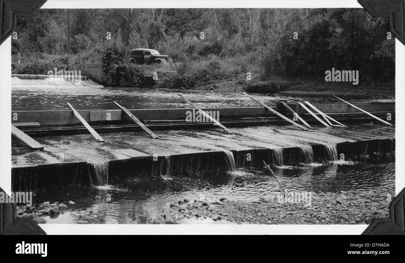 Ein Foto, das den Catherine Creek Diversion Damm dokumentiert, Teil des Pacific Northwest Stream Survey, archiviert von OSU Archives. Stockfoto