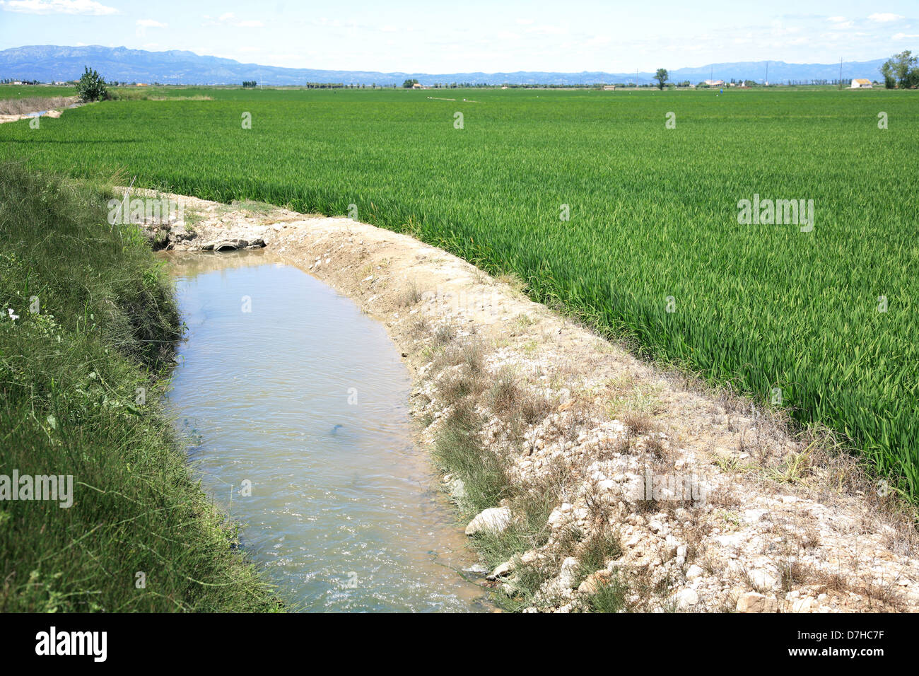 Bewässerung-Kanal-Systems in Reis Bereich Spanien Stockfoto