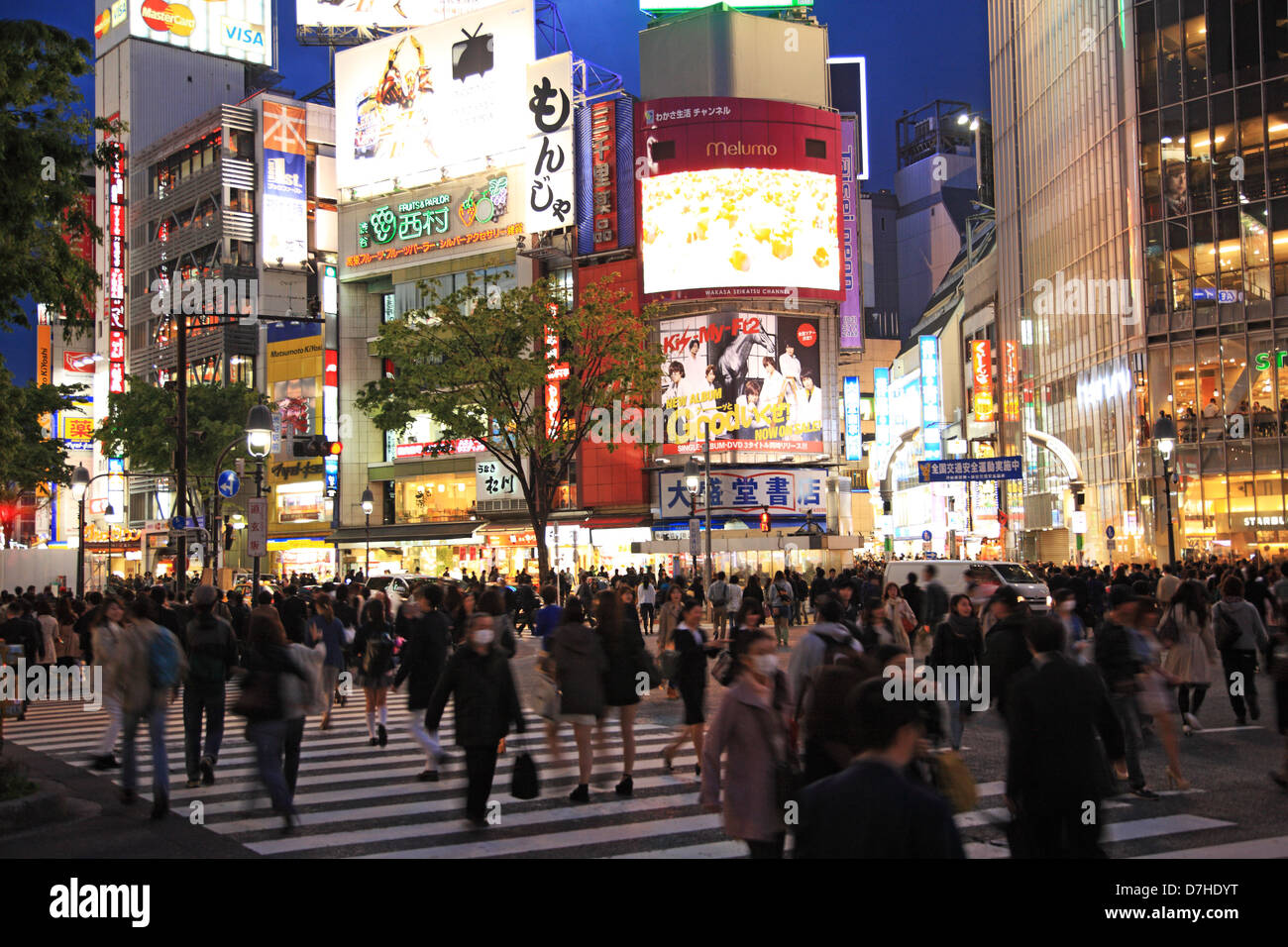 Japan, Tokio, Shibuya-Kreuzung in der Abenddämmerung Stockfoto