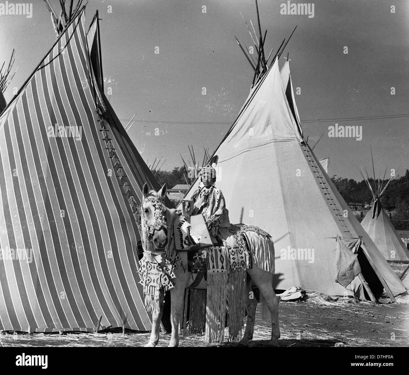 Kind auf dem Rücken der Pferde vor tipi Stockfoto