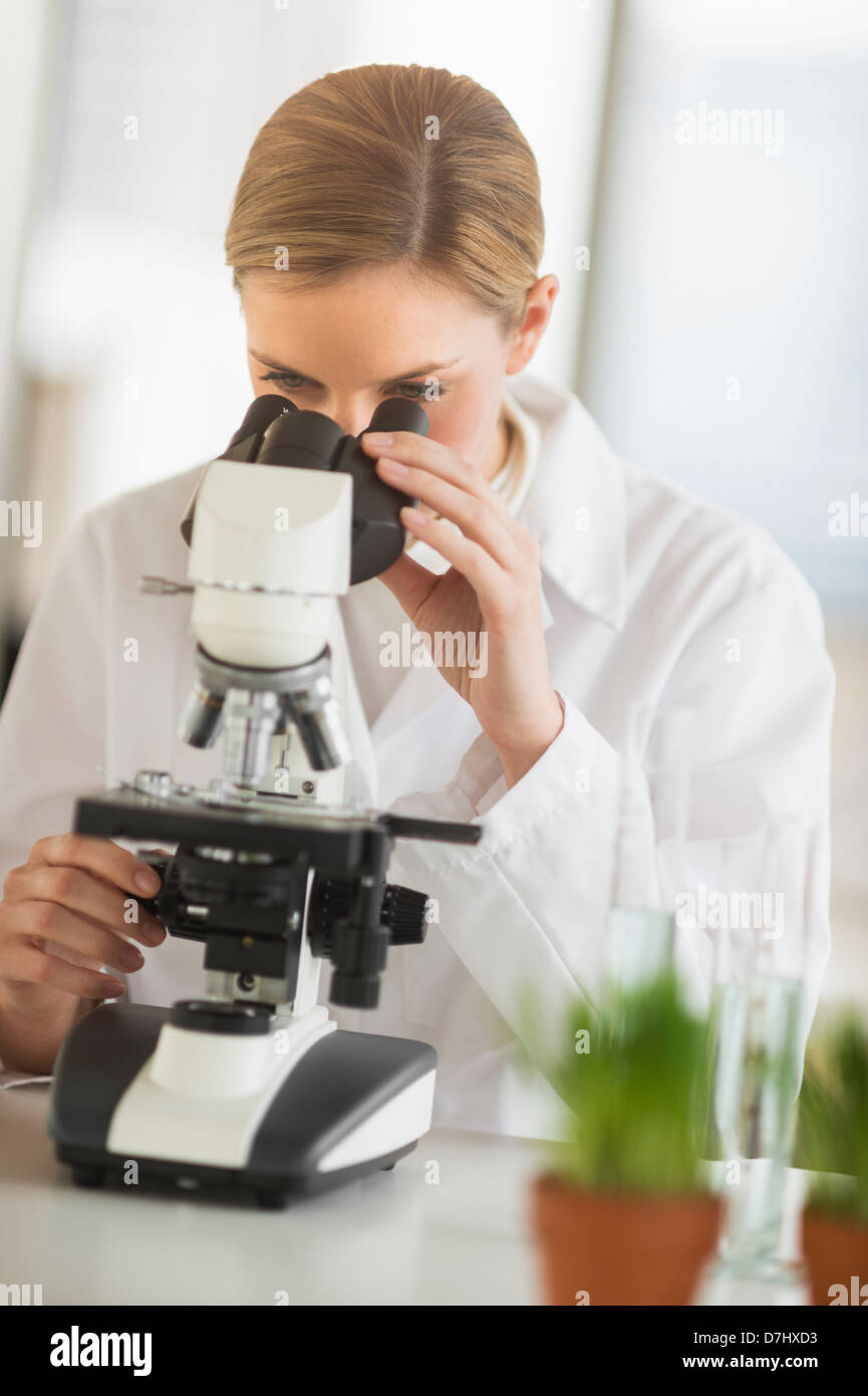 Wissenschaftler forschen an Mikroskopen Stockfoto