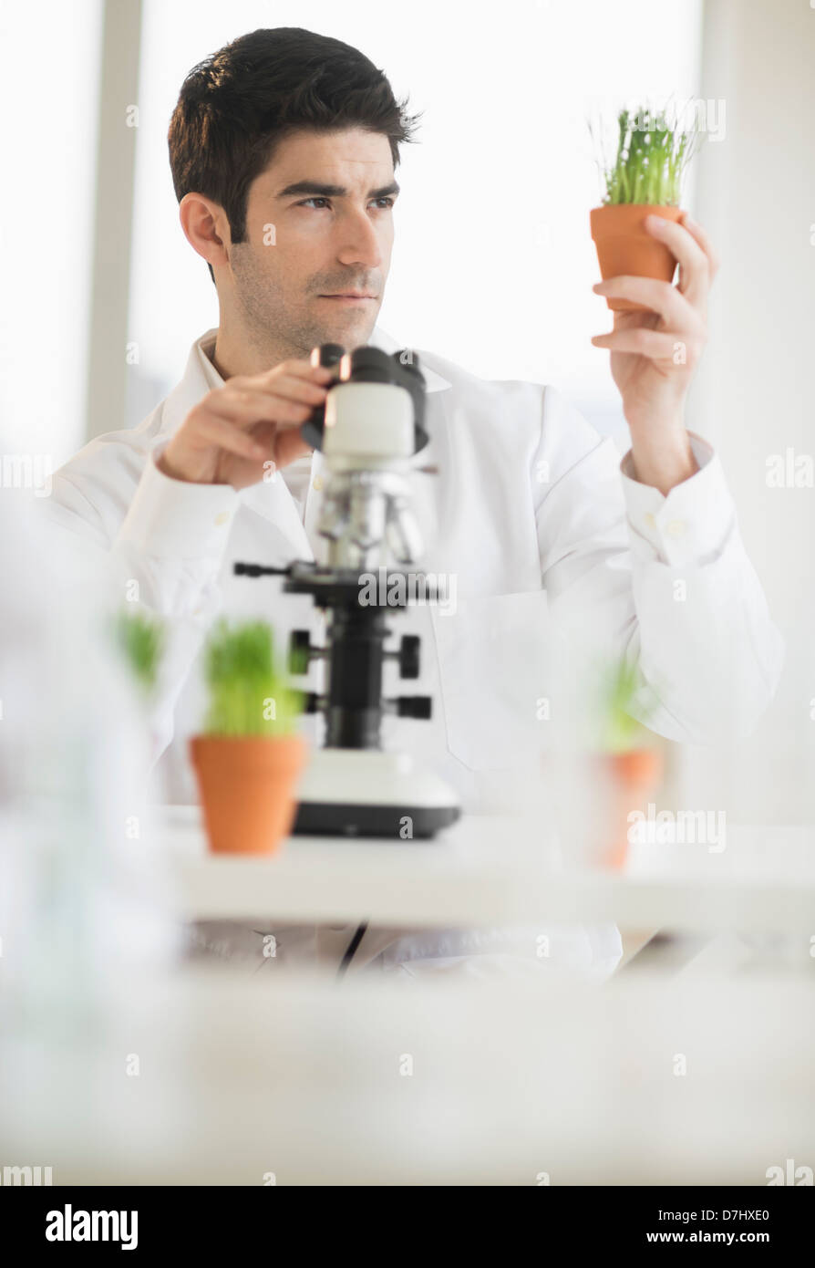 Wissenschaftler forschen an Mikroskopen Stockfoto