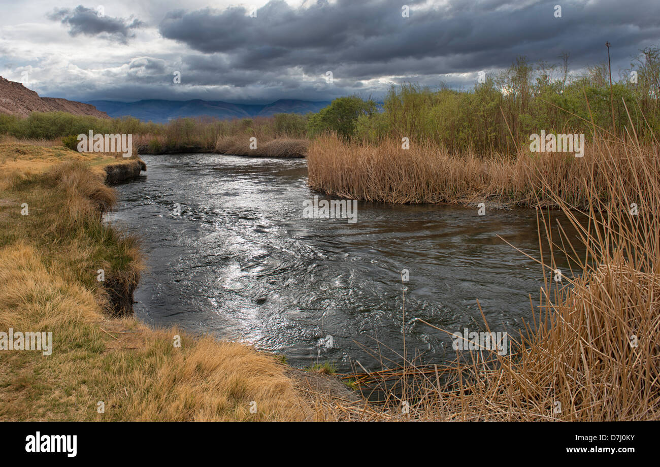 Die ruhigen Owens River Stockfoto