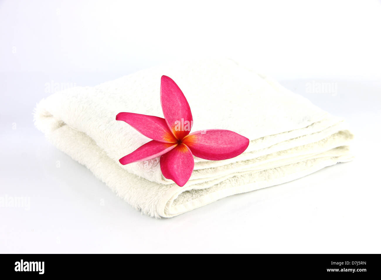 Rote Blüten mit weißen Handtuch auf weißem Hintergrund. Stockfoto
