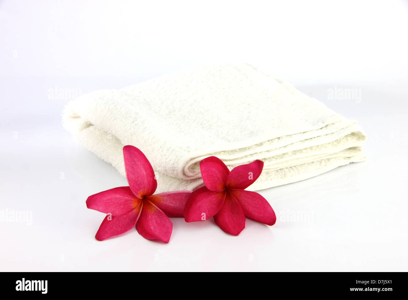 Rote Blüten mit weißen Handtuch auf weißem Hintergrund. Stockfoto