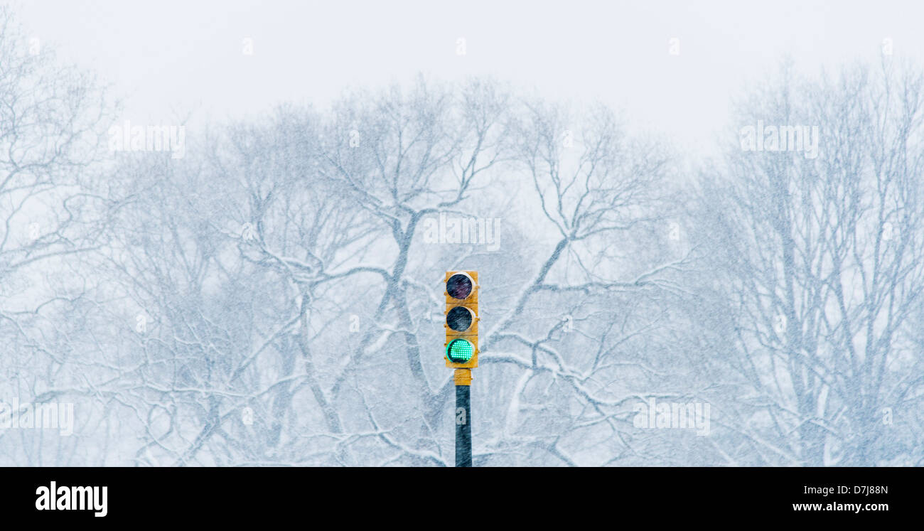 USA, New York, New York City, grüne Ampel mit Winterbäume im Hintergrund Stockfoto