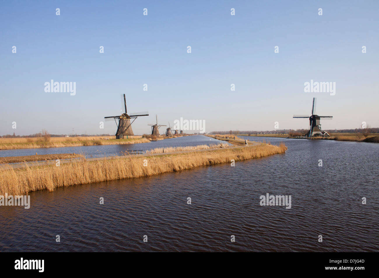 19 Mühlen an der "Kinderdijk" in der Nähe von Rotterdam Stockfoto