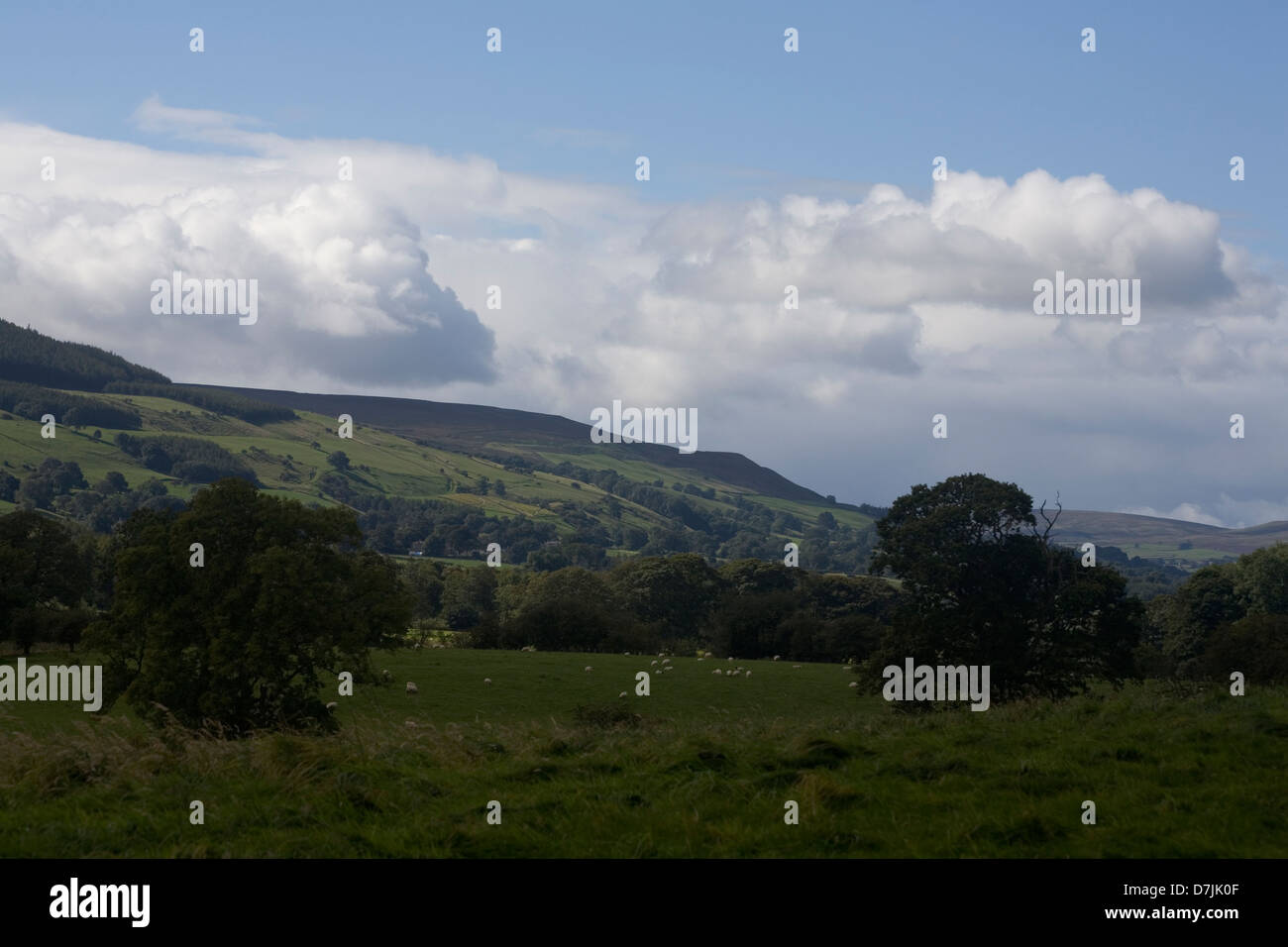 Blick auf die unteren Wensleydale in der Nähe von Jervaulx Abtei Yorkshire Dales England Stockfoto
