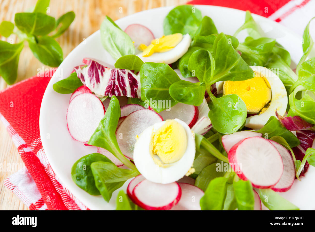 nahrhafter frischer Salat mit Ei und Radieschen, Essen Stockfoto