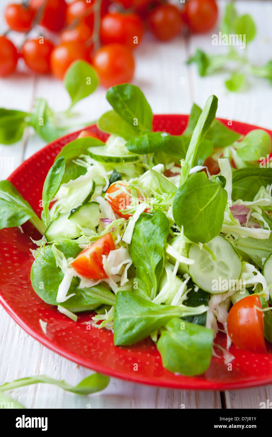 Frischer Salat mit Salat und Gemüse, Lebensmittel Stockfoto
