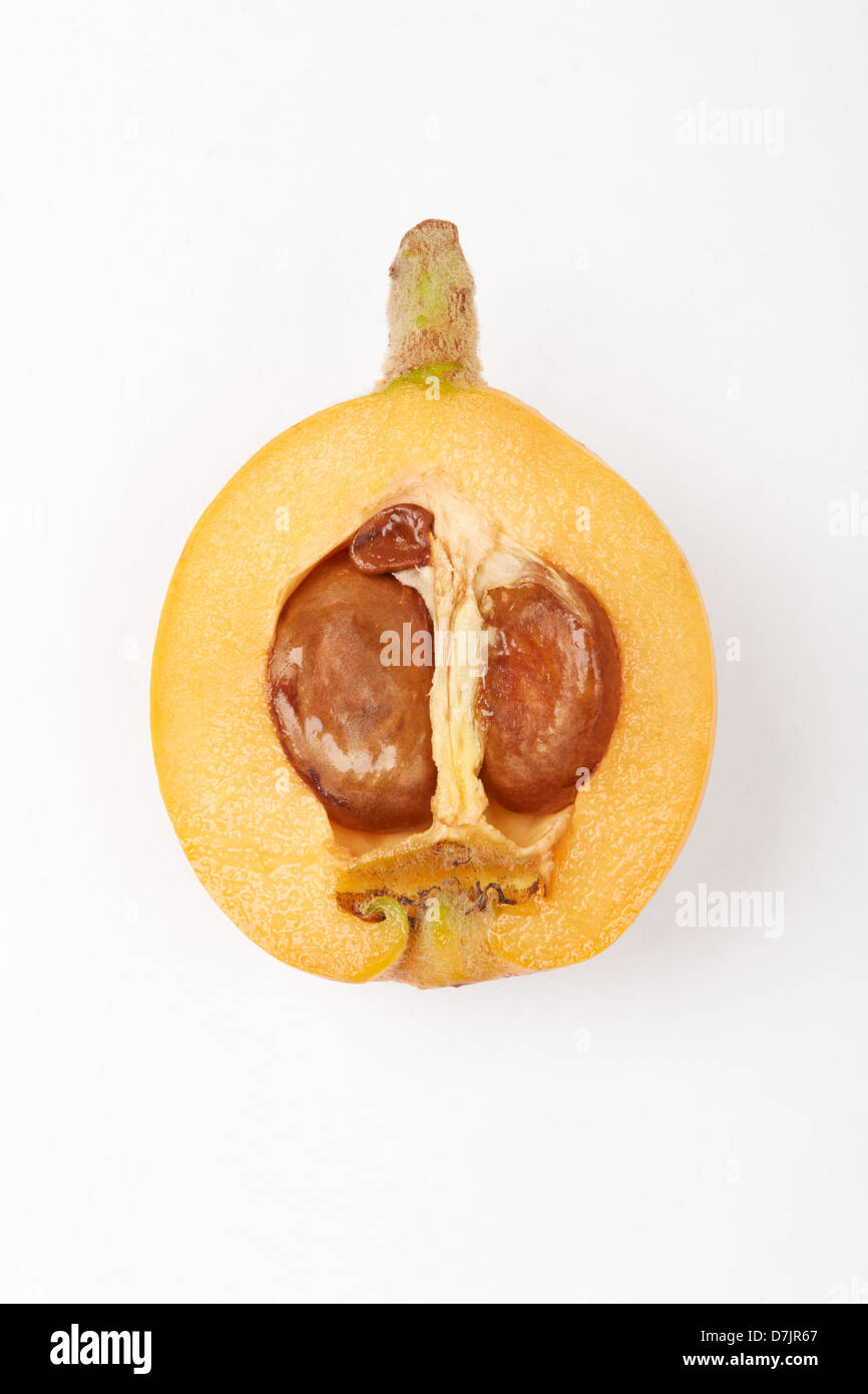 Loquat Obst Abschnitt auf weiß Stockfoto