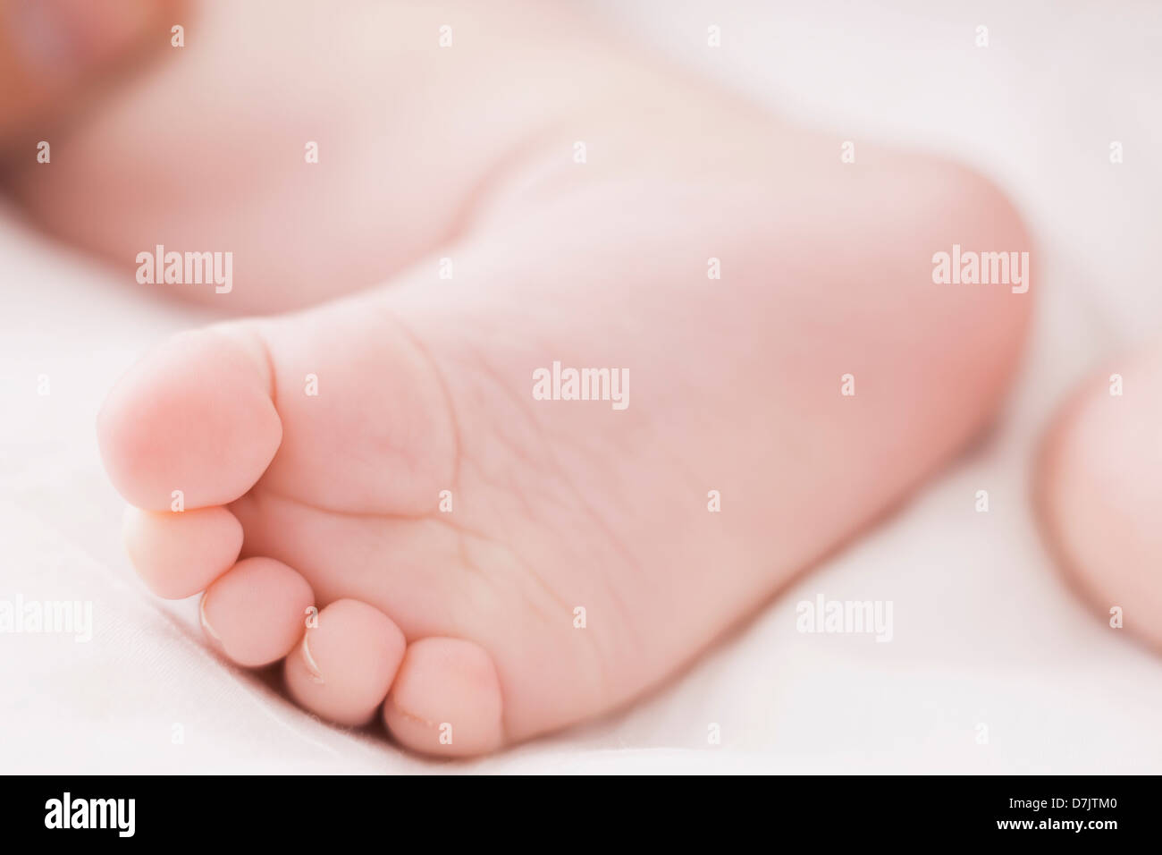Nahaufnahme eines Babys Fuß (18-23 Monate) Stockfoto