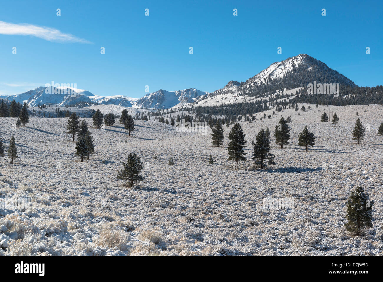 USA, California, östliche Sierra Szene Stockfoto