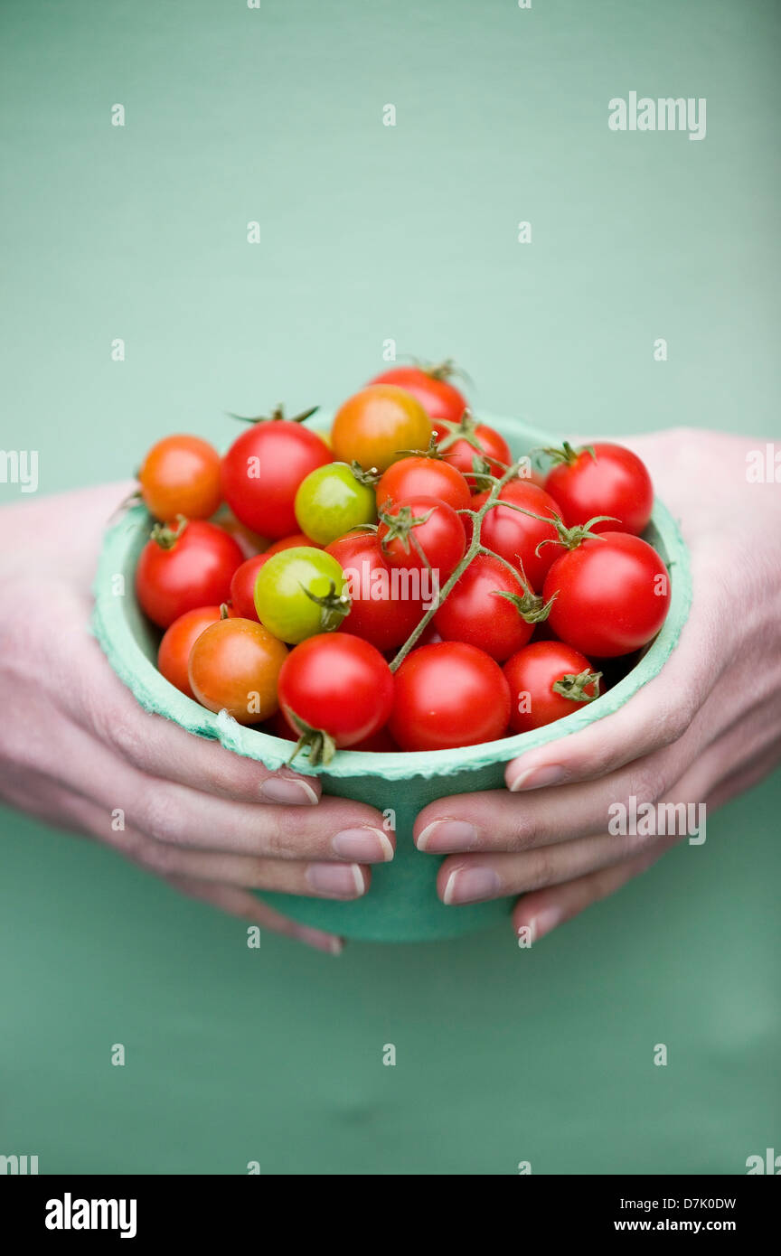 Eine Frau die Hände halten einen grünen Karton Körbchen von Cherry-Tomaten. Stockfoto