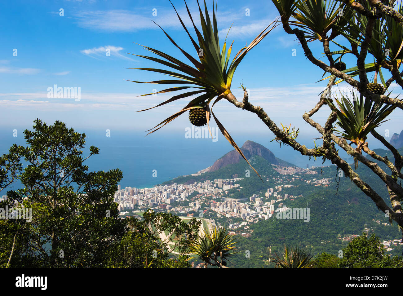 Dois Irmãos Hill, Rio De Janeiro, Brasilien Stockfoto