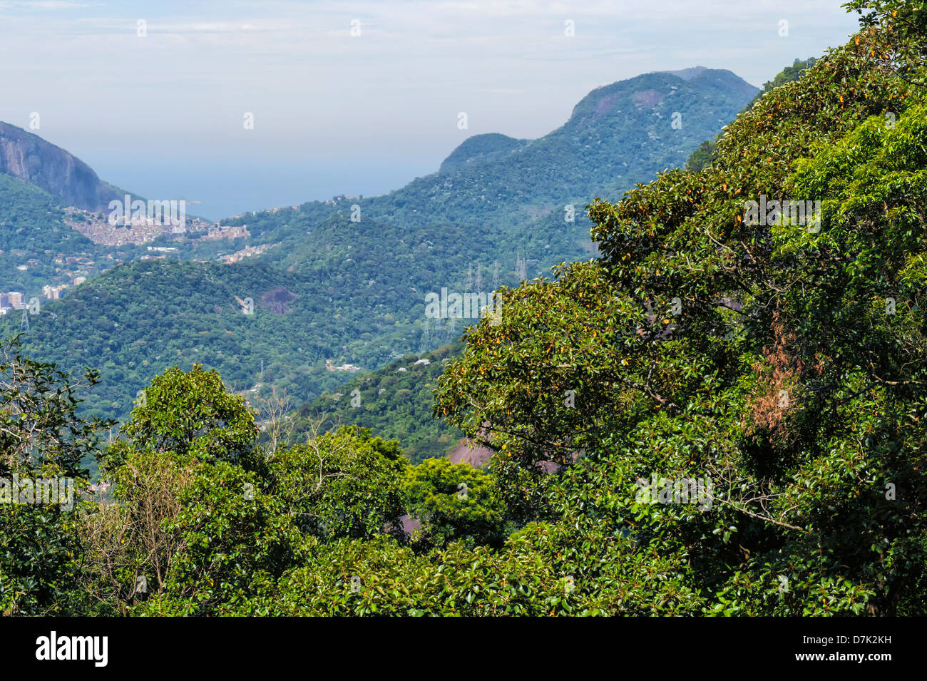 Tijuca National Park, Rio De Janeiro, Brasilien Stockfoto