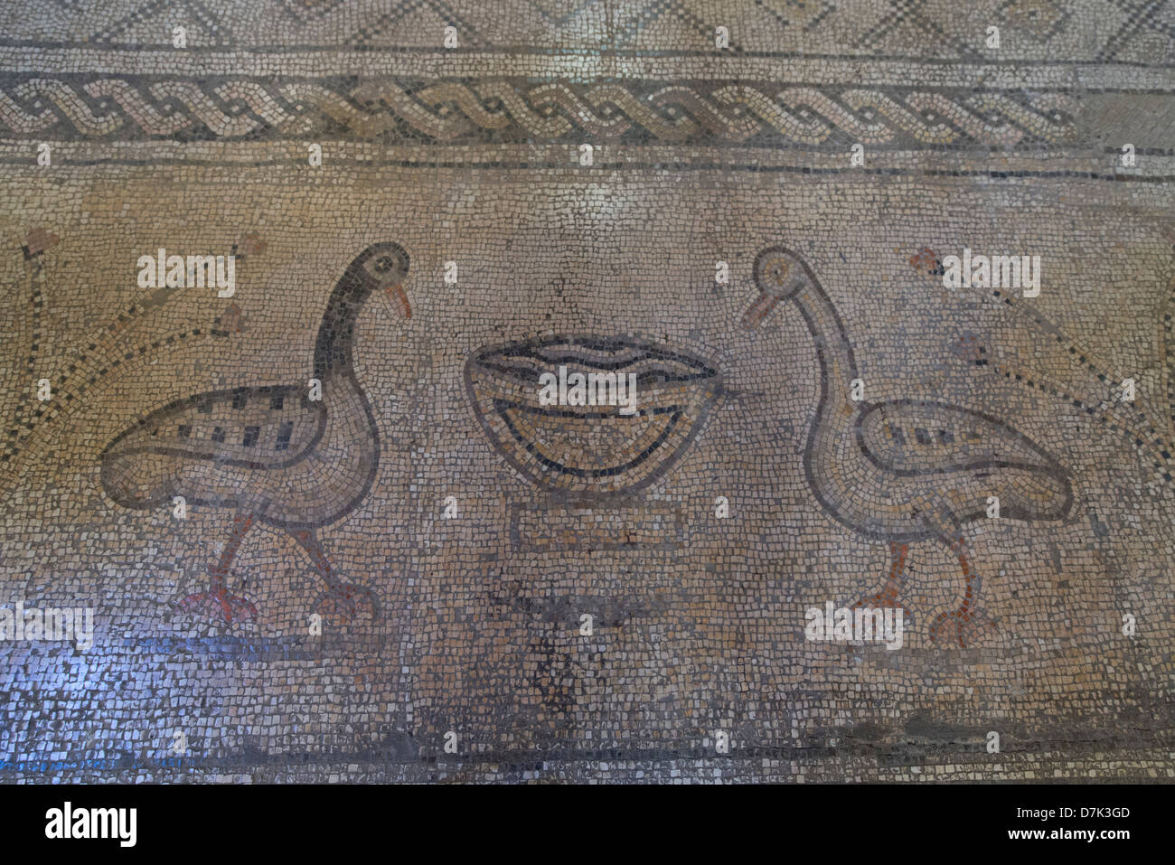 Mosaik mit zwei Vögel in die Kirche liebt und Fische, Tabgha, Galiläa, Israel Stockfoto