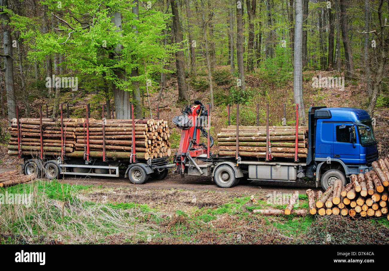 LKW in den Wald beladen mit Holz Stockfotografie - Alamy