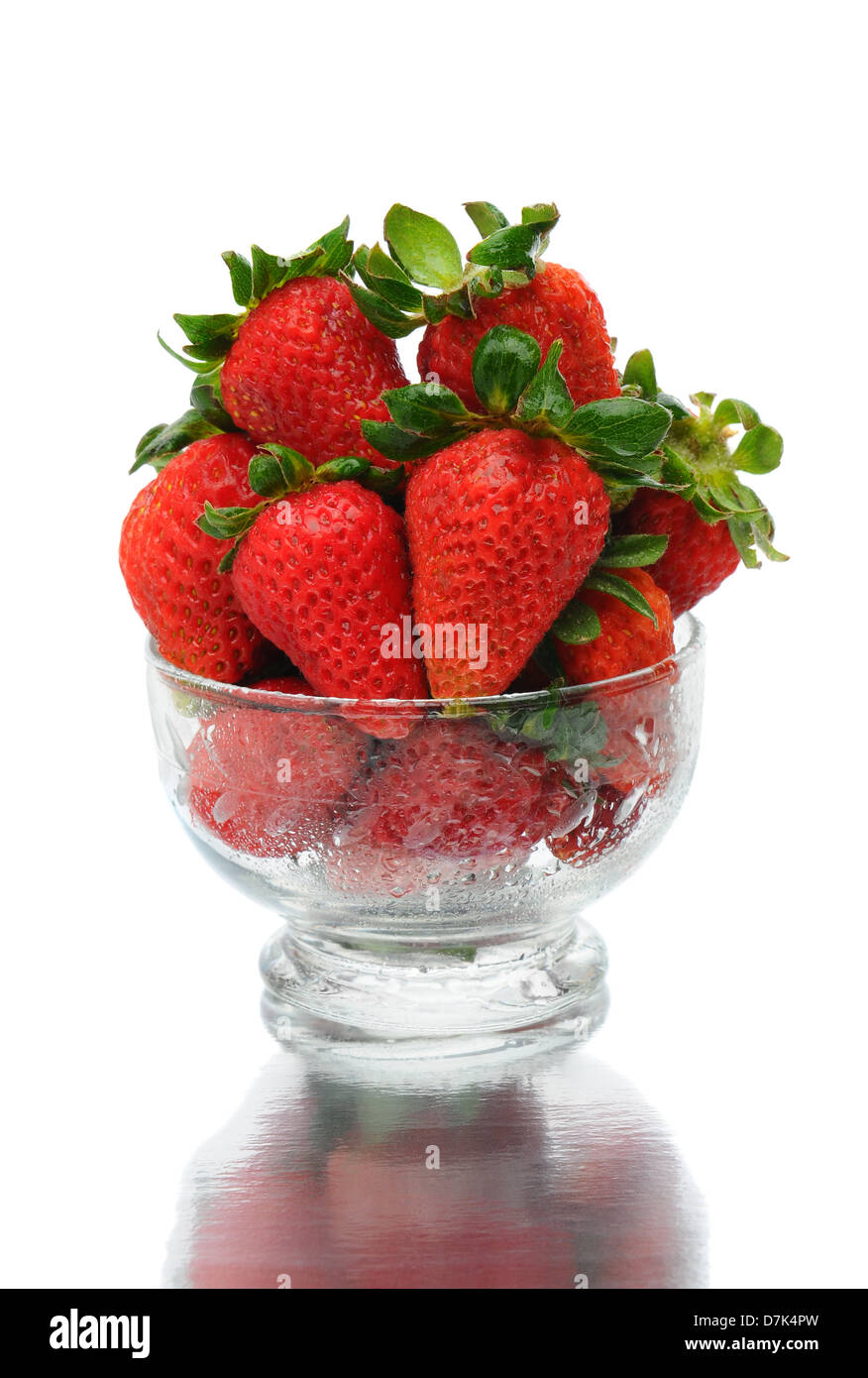 Nahaufnahme von frisch gepflückten Erdbeeren in eine Glasschüssel mit Reflexion über einen weißen Hintergrund. Stockfoto