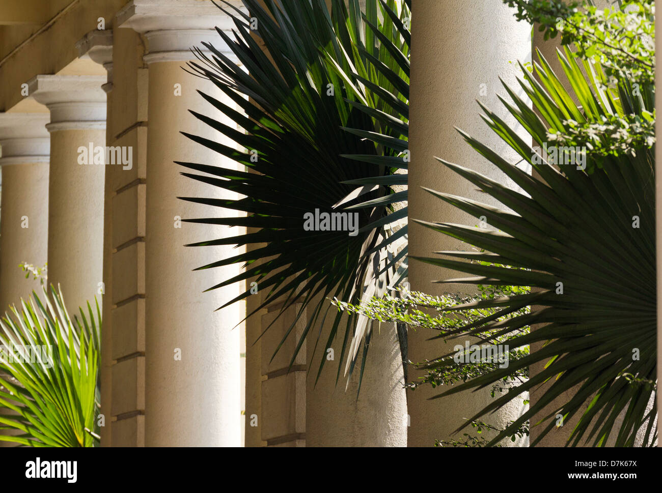 Pflanzen und Säulen - die alte Colononial Post in Yangon, Myanmar Stockfoto