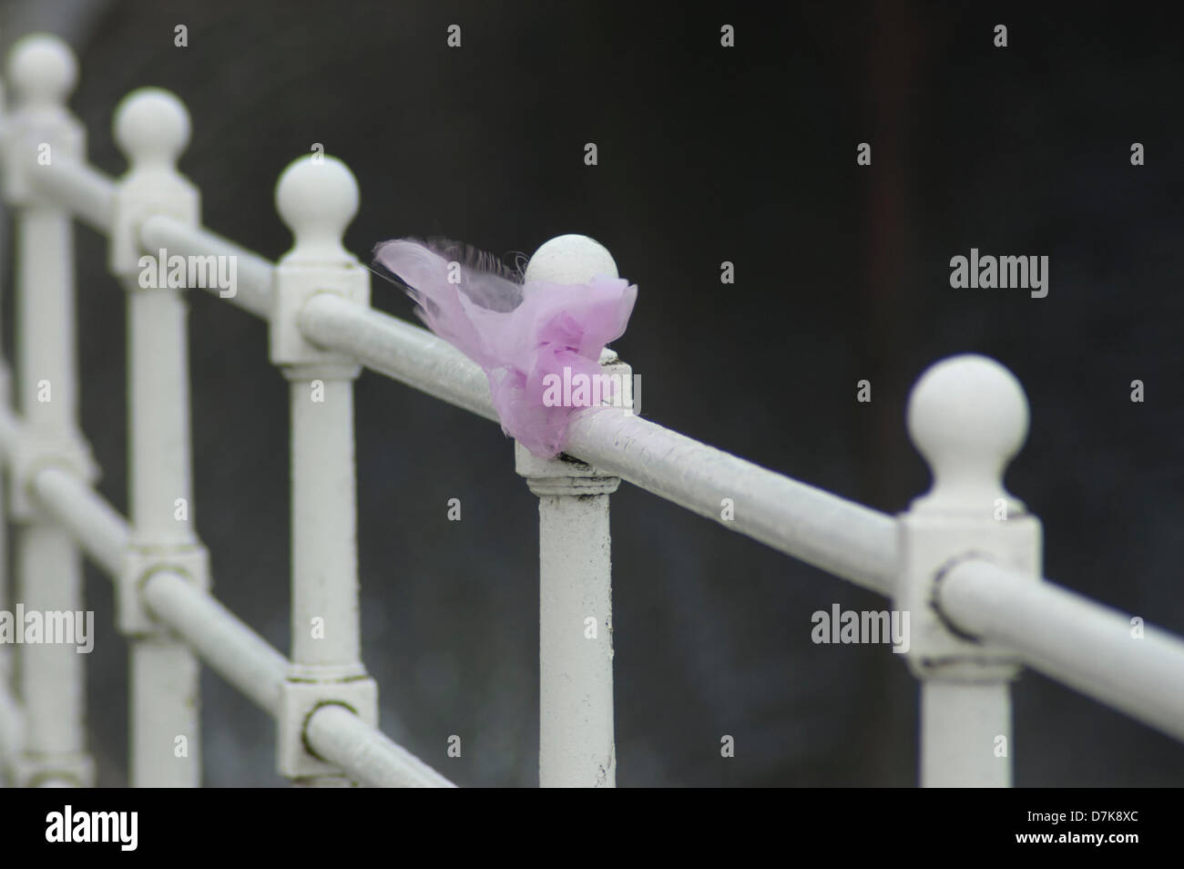 Aberystwyth, Wales, UK. 9. Mai 2013. Rosa Bändern in Erinnerung an April Jones Aberystwyth Promenade. Datum: 05.09.13. Bildnachweis: Barry Watkins / Alamy Live News Stockfoto