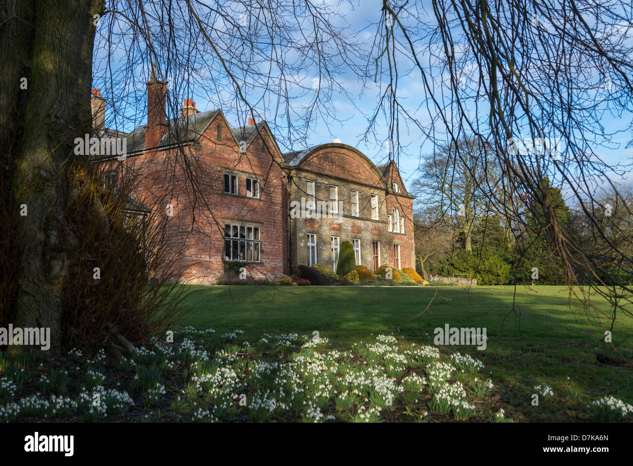 Teppiche von Schneeglöckchen auf dem Display an Hopton Hall ein Landhaus aus dem 18. Jahrhundert in Derbyshire, England Stockfoto