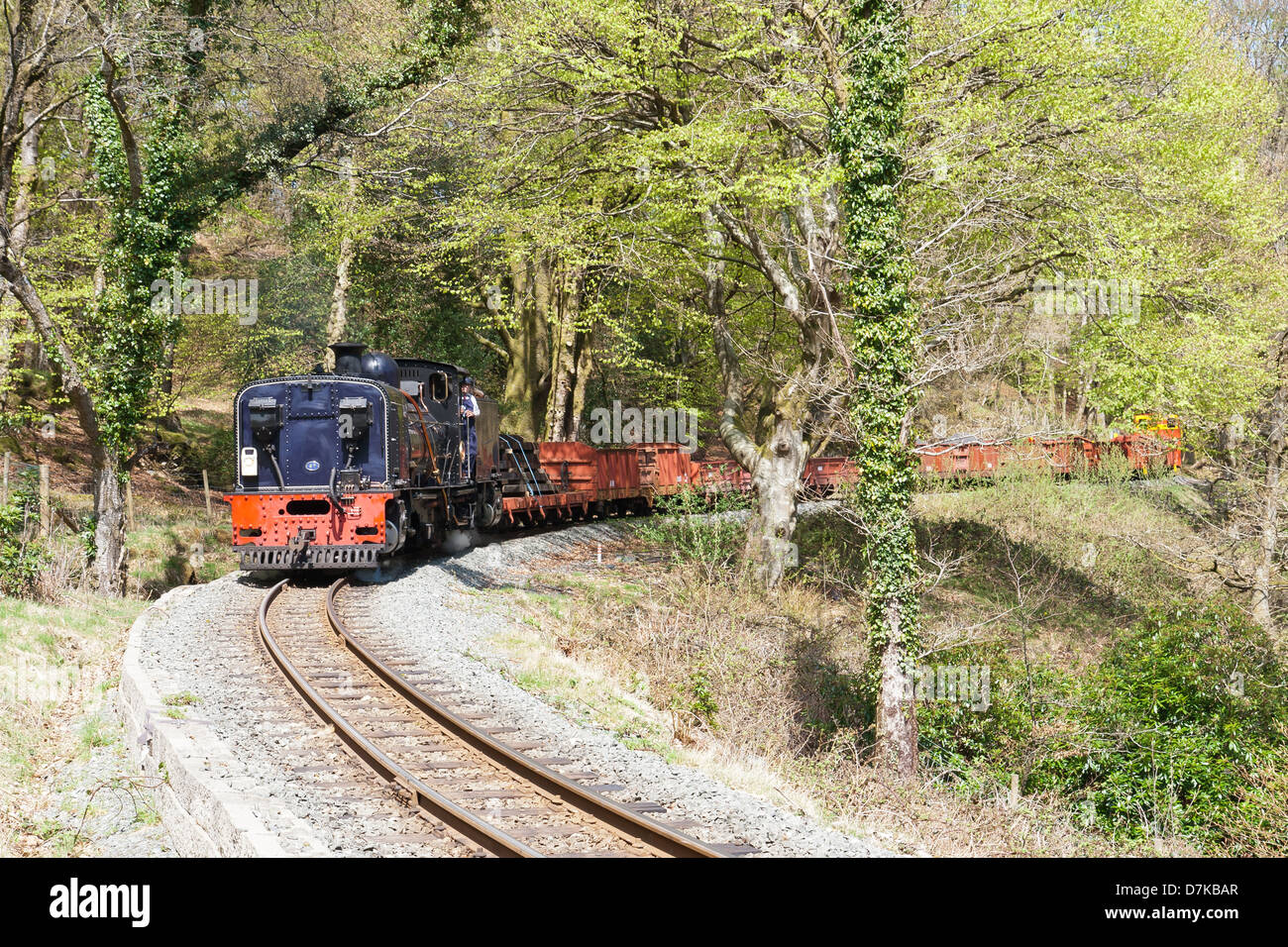 Eine Dampflok zieht einen Güterzug auf der Welsh Highland Line Railway, Wales Stockfoto